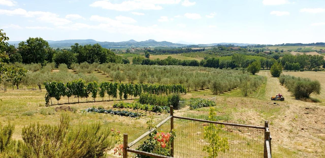 Casina Di Pacina *